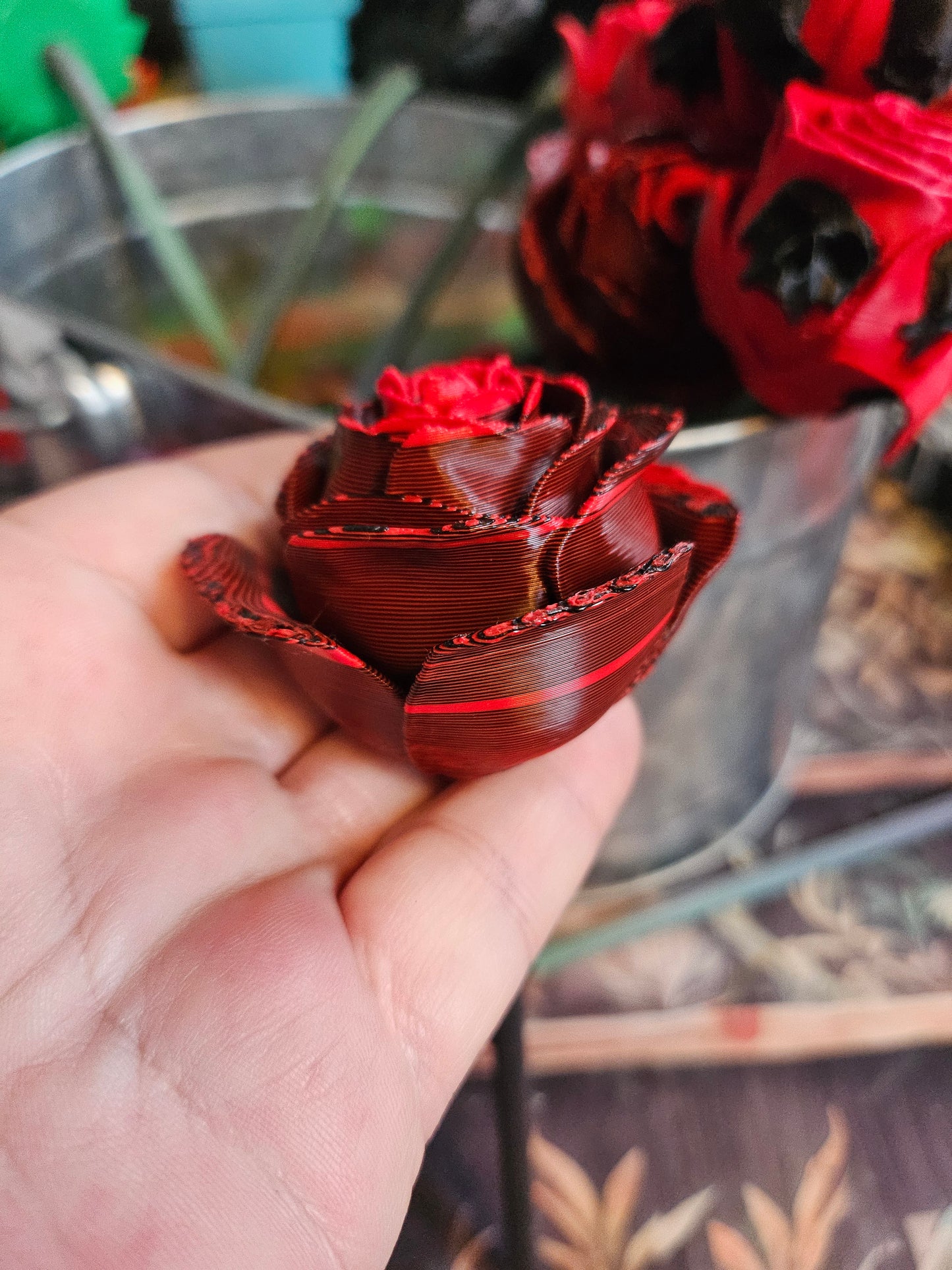 Roses