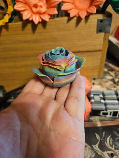 Roses